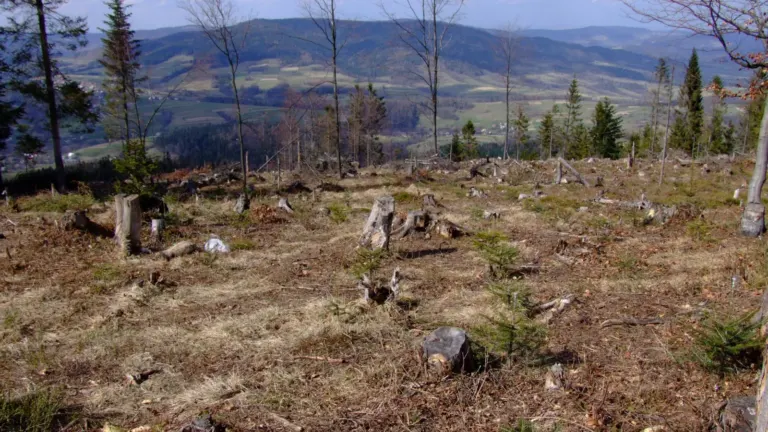 Beskid wyspowy mapa: Widok z Lubonia Małego na Zembalową