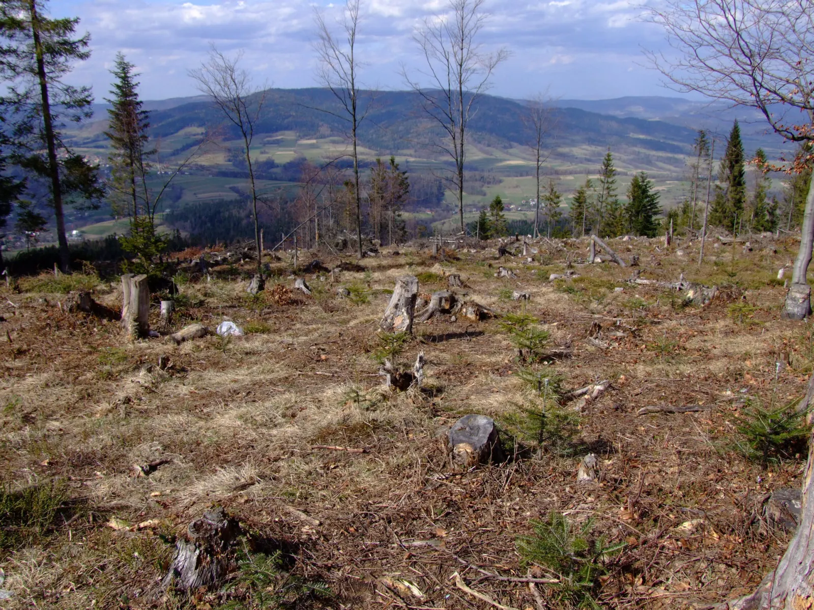 Luboń Mały nad doliną Naprawki